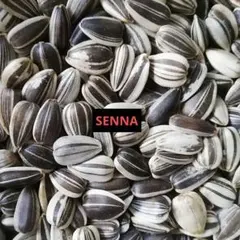 Item thumbnail for item 1c446d7d-4281-4d49-852b-edab215cd0f3