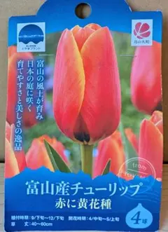 アカサカ様 リクエスト 2点 まとめ商品