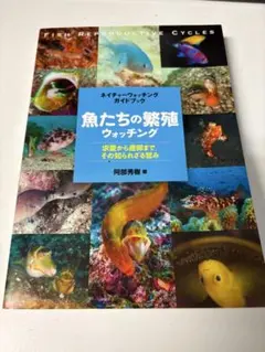 Item thumbnail for item 4ea9b873-1143-4973-ba2f-477b153a9cbf