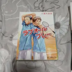 ラブオールプレー 小瀧木麻美