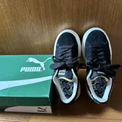 Item thumbnail for item 9a8de90b-8c62-4169-b114-62a4e4160920