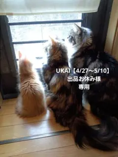 UKAI【4/27〜5/10】出品お休み様専用です♪︎