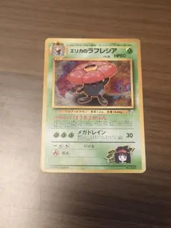 エリカ ◇ ジム拡張第1弾 リーダーズスタジアム - メルカリ