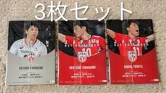 バレーボール男子日本代表カード 3枚セット