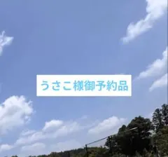 うさこ様御予約品