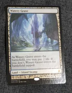 Watery Grave 湿った墓 FOIL 007/045 MTG MTG Magic the Gathering Watery Grave 007/045 EXP Foil
