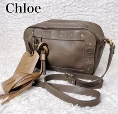 ✨人気✨Chloe クロエ　エデン　レザー　ブラウン　ショルダーバッグのサムネイル