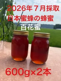 日本蜜蜂の蜂蜜 百花蜜 600g×2本のサムネイル