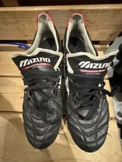 Mizuno モレリアneo2