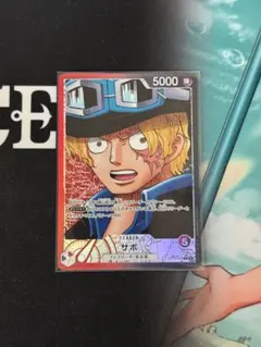 hatano様 リクエスト 2点 まとめ商品