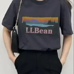 LLBean ダークグレー Tシャツ FREEのサムネイル