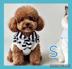 ① 犬服Ｓ　夏服　薄手ワッフル生地　ティシャツ　男の子　女の子　ストライプのサムネイル