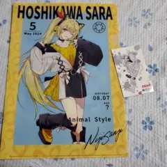 にじさんじ クリアファイル 星川サラ - メルカリ