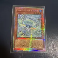 マルチャミープルリア プリズマ