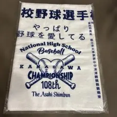 甲子園タオル クラーク記念国際高校 野球 オリジナル 非売品 元紙つき