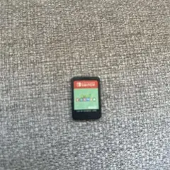 Nintendo Switch あつまれどうぶつの森