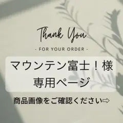 マウンテン富士！様　専用ページ　２点おまとめ　※他の方のご購入はご遠慮ください