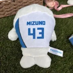 ①水野 達稀 あざらしのぬいぐるみファイターズ選手くじ 4等