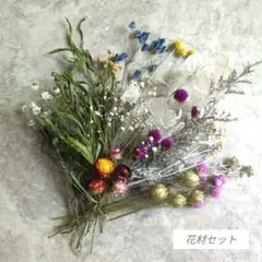 ドライフラワー　花材セット