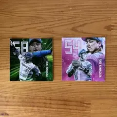 ファイターズ 選手カラー 限定ステッカー 2枚セット