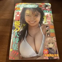 Item thumbnail for item 9e62e653-187e-4aab-936f-49fba1e0ac50