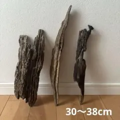 Item thumbnail for item 4b5937bc-e85b-4129-83d6-0140ff2df65e