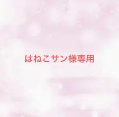 はねこサン様専用