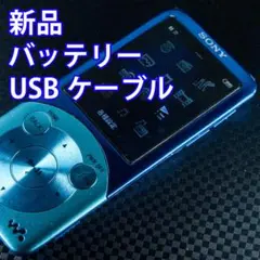 動作良好 SONY ウォークマン NW-S754 8GB 　1509のサムネイル