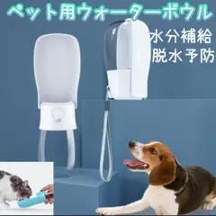 Item thumbnail for item 9802a253-8538-412d-8516-2b53fd15e7d4