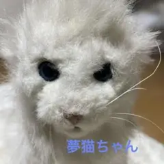 フランケンウィニー おヒゲくん - メルカリ