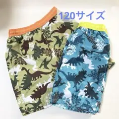 古着　120サイズ　水着　男の子　2種まとめ売り　迷彩風　恐竜柄　青系　緑系