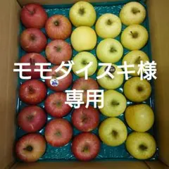 【モモダイスキ様専用】