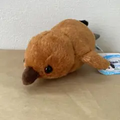 【匿名発送】ペンギン　アイランド　スイミング　きんぐぼっちゃん