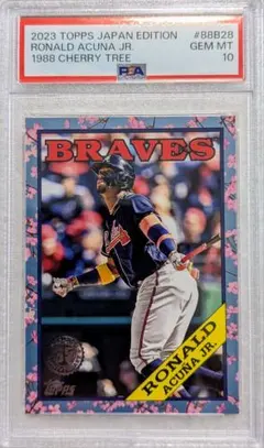 2025年最新】アクーニャJR カードの人気アイテム - メルカリ