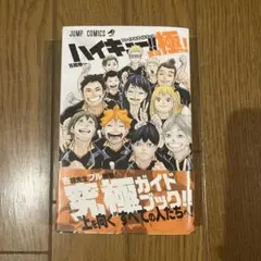 2025年最新】ファイナルガイドブック排球極の人気アイテム