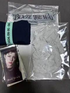 &team blazetheway アプグレ特典　maki