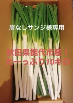 眉なしサンジ様専用ページ 10キロ 長ネギ 12/26発送分