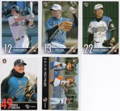 日本ハムファイターズ　谷元圭介　実使用　ユニフォーム 2025年最新】谷元圭介 北海道日本ハムファイターズの人気