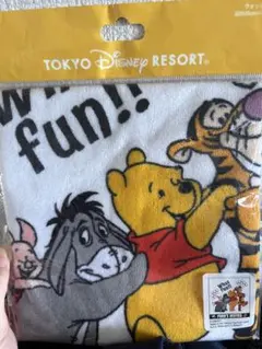 東京ディズニーリゾート くまのプーさん ウォッシュタオル　ベスティーズのサムネイル