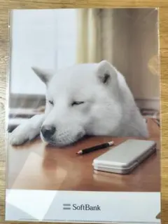 SoftBank お父さんクリアファイル ver.3 非売品