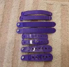 BURTONスノーボードビンディングアンクルタントゥタンスライダーセットパープル