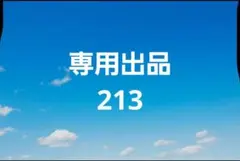 専用出品213