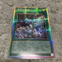 遊戯王 原石の鳴獰 プリズマ - メルカリ