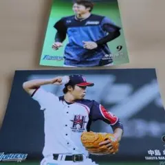 【野球】ハガキサイズ写真　北海道日本ハムファイターズ　中島卓也