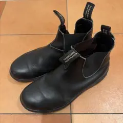 Item thumbnail for item e05265bc-f622-442e-84df-418ea879a708