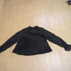 ZARAのサムネイル