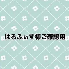 はるふぃす様ご確認用