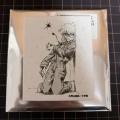 日*0様 名探偵コナン キャンバスマグネット 1個