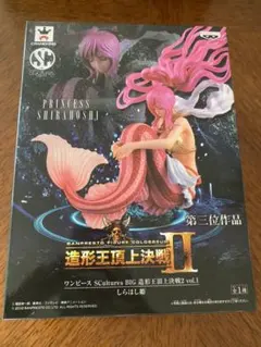 ワンピース　造形王頂上決戦Ⅱ しらほし姫　フィギュア　未開封