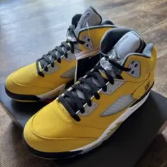 Nike Air Jordan 5 Retro 